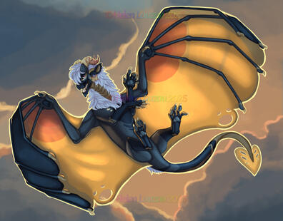 Sunset Flight