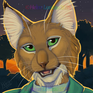 Baylin Icon